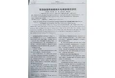 增強(qiáng)型快干硅溶膠的研制